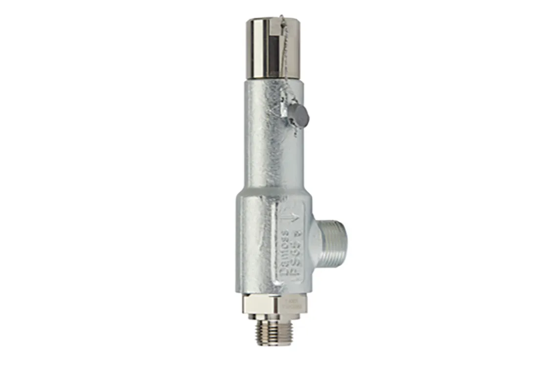 Safety Valve PN 10 [SFV-10]